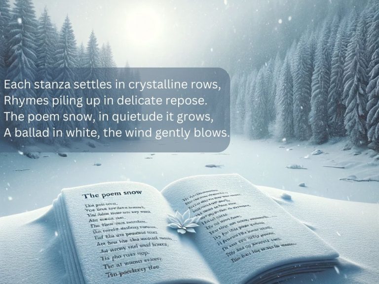 The poem snow