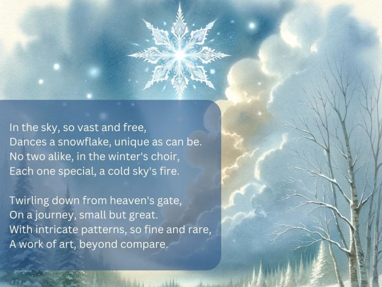 Unique snowflake poem