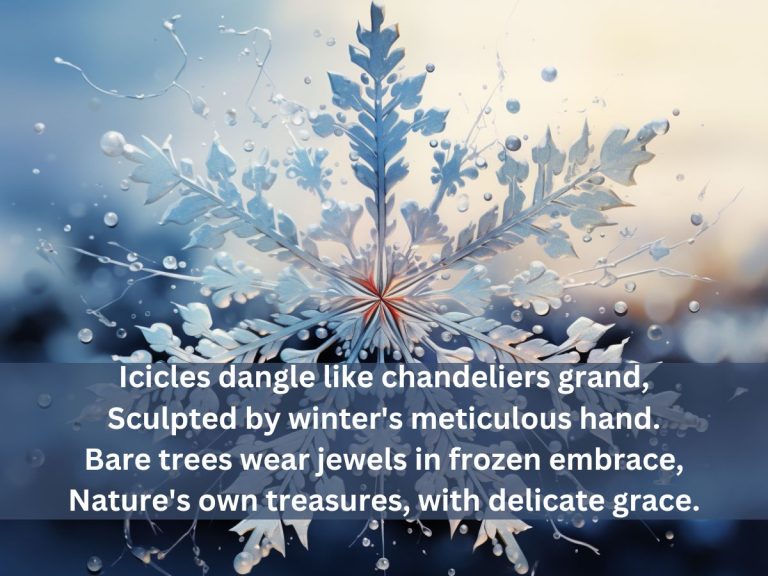 Winter jewels poem