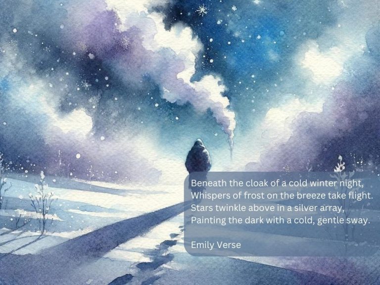 Cold Winter Night poem