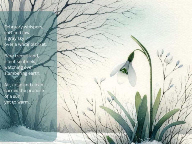Non Rhyming Poems About February