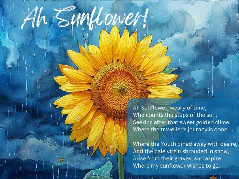 Ah Sunflower poem