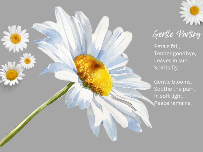 Short Poems for Funeral Flower Cards