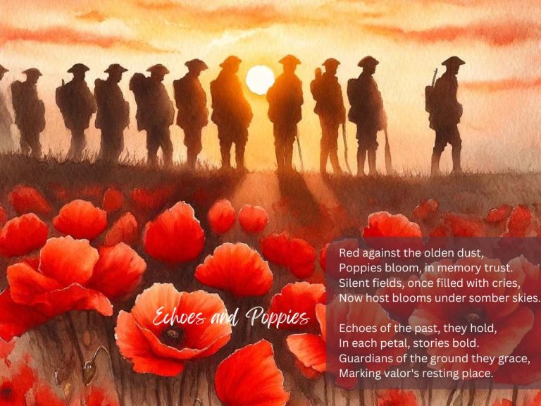 Poppy Poems WW1