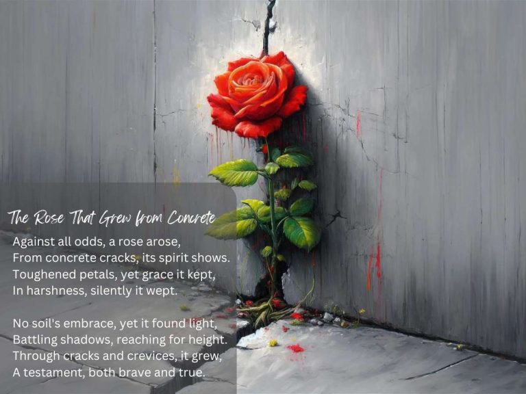 The Rose That Grew from Concrete Poem