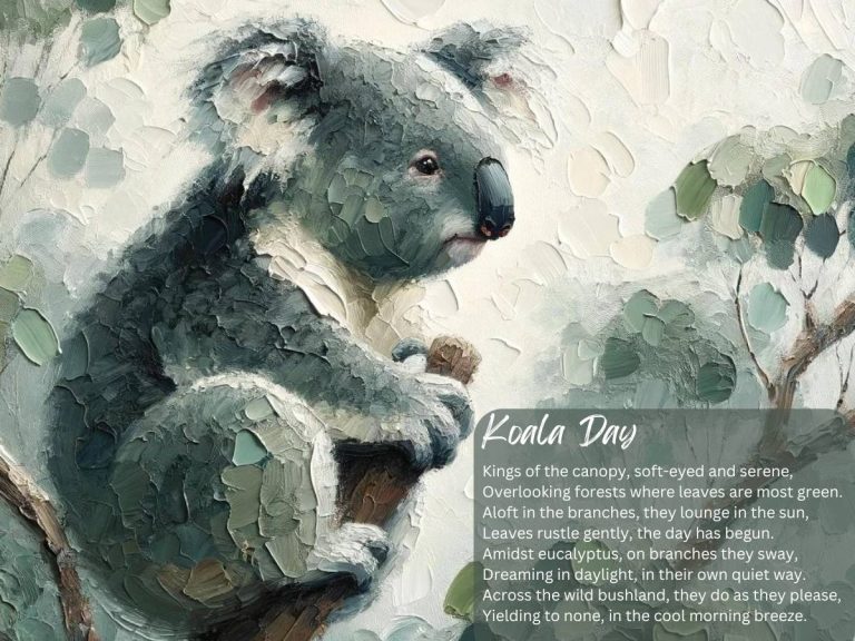 Wild Koala Day Poems