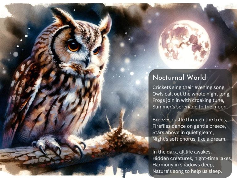 Beautiful Poems About Summer Nights
