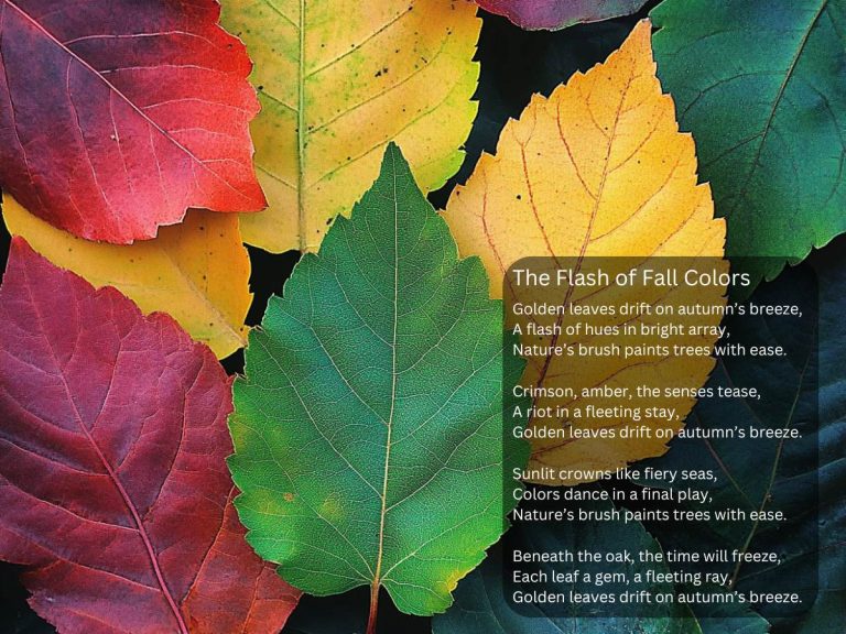The Flash of Fall Colors