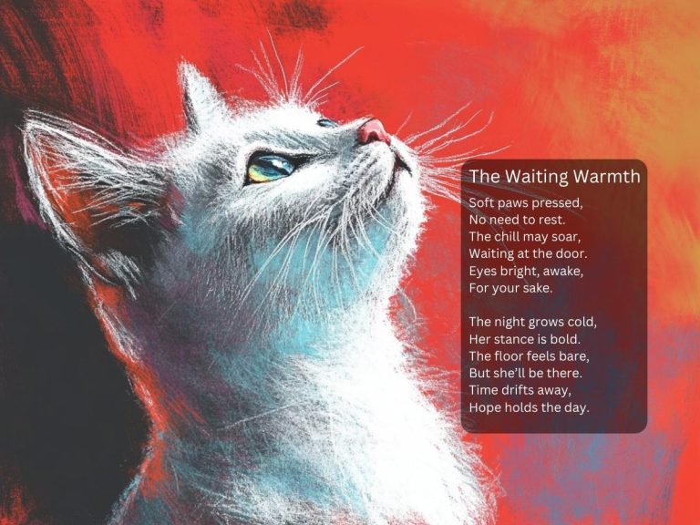 The Waiting at the Door Cat Poems