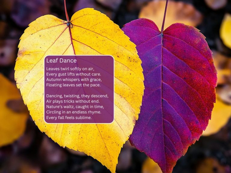 Acrostic Poems for October