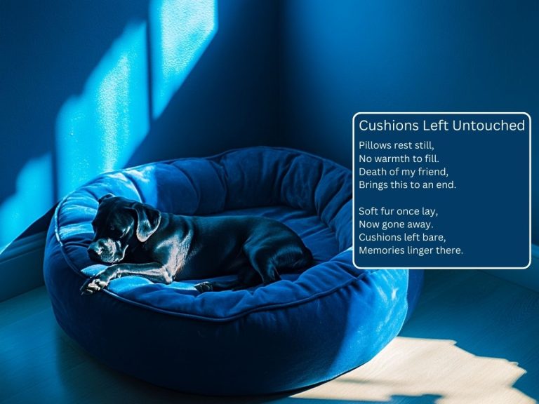 Poems on Loss of a Dog - A Tribute to Companionship