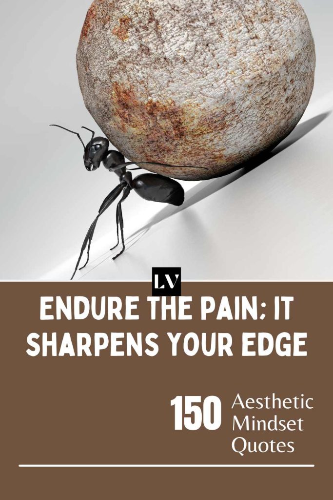 150 Aesthetic Mindset Quotes for Daily Inspiration