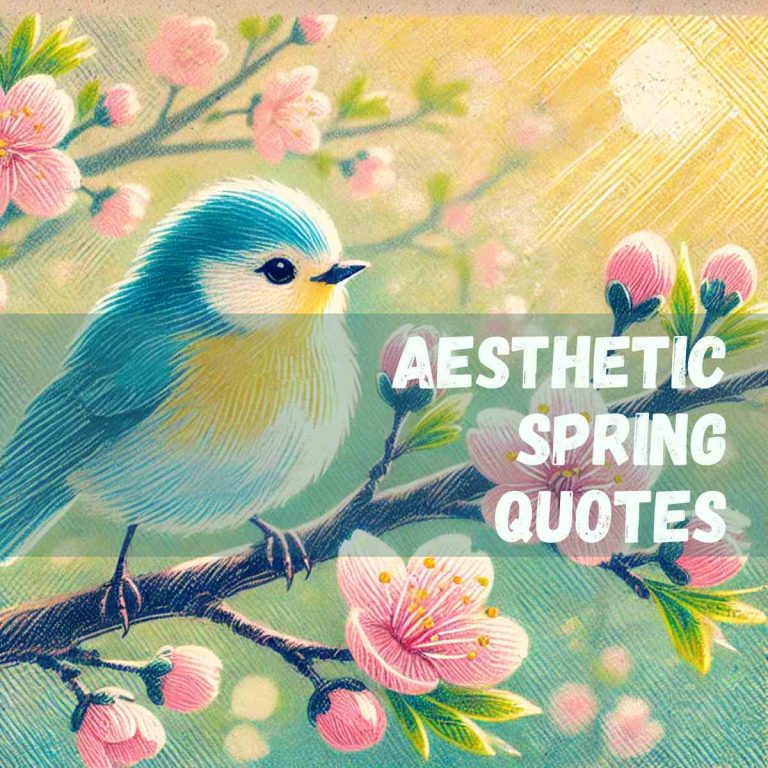 160 Beautifully Aesthetic Spring Quotes