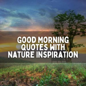 120 Good Morning Quotes with Nature Inspiration