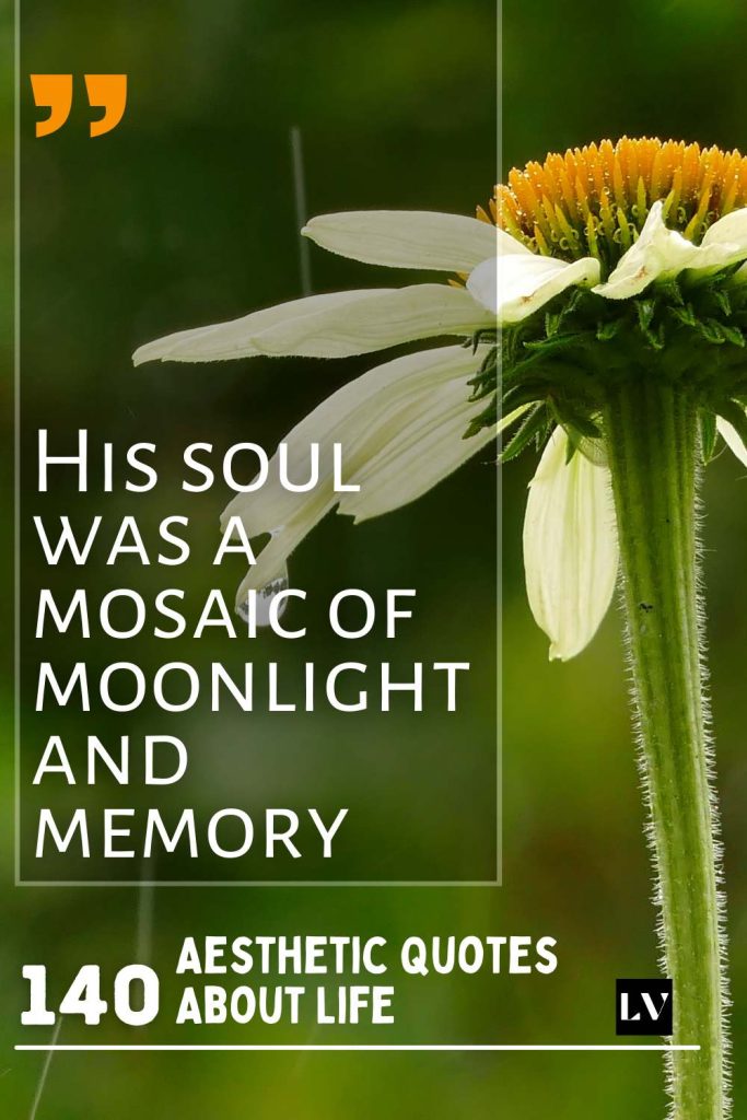 140 Aesthetic Life Lessons You’ll Want to Save Forever