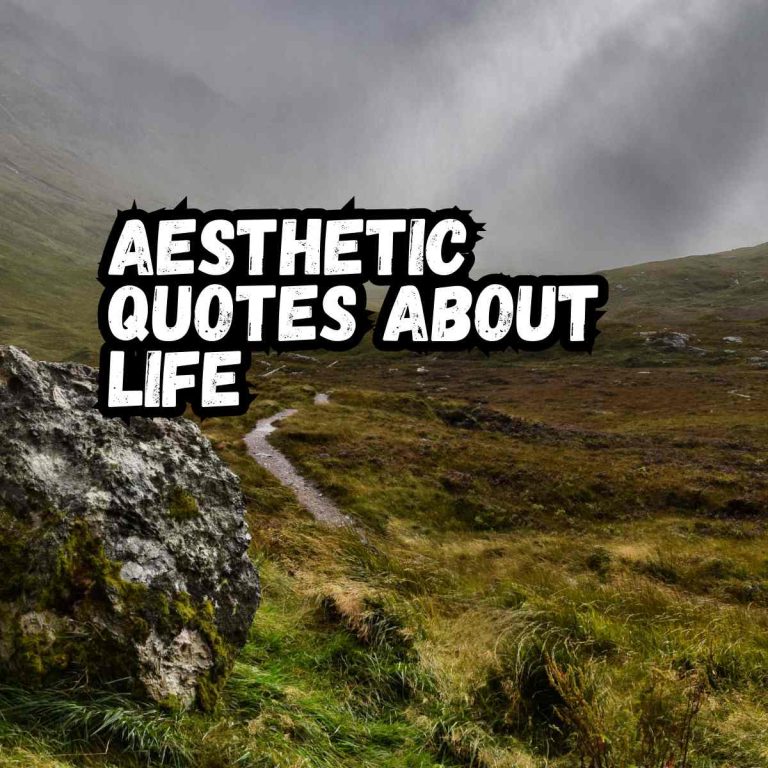 140 Aesthetic Quotes About Life That Feel Like Poetry