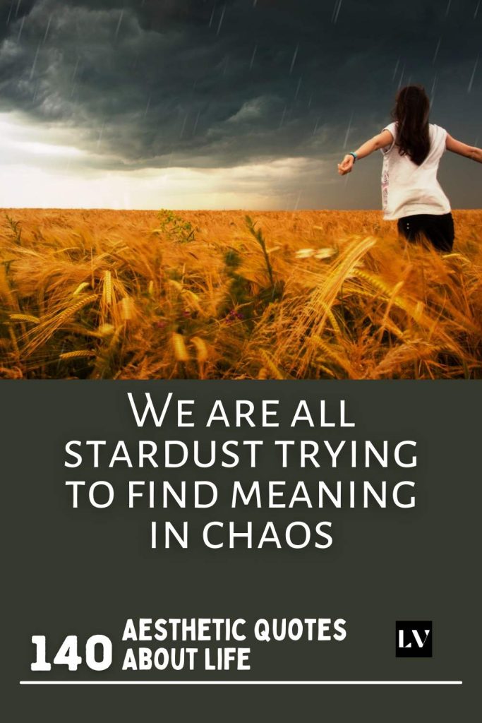 140 Thought-Provoking Lines That Redefine Life Aesthetically