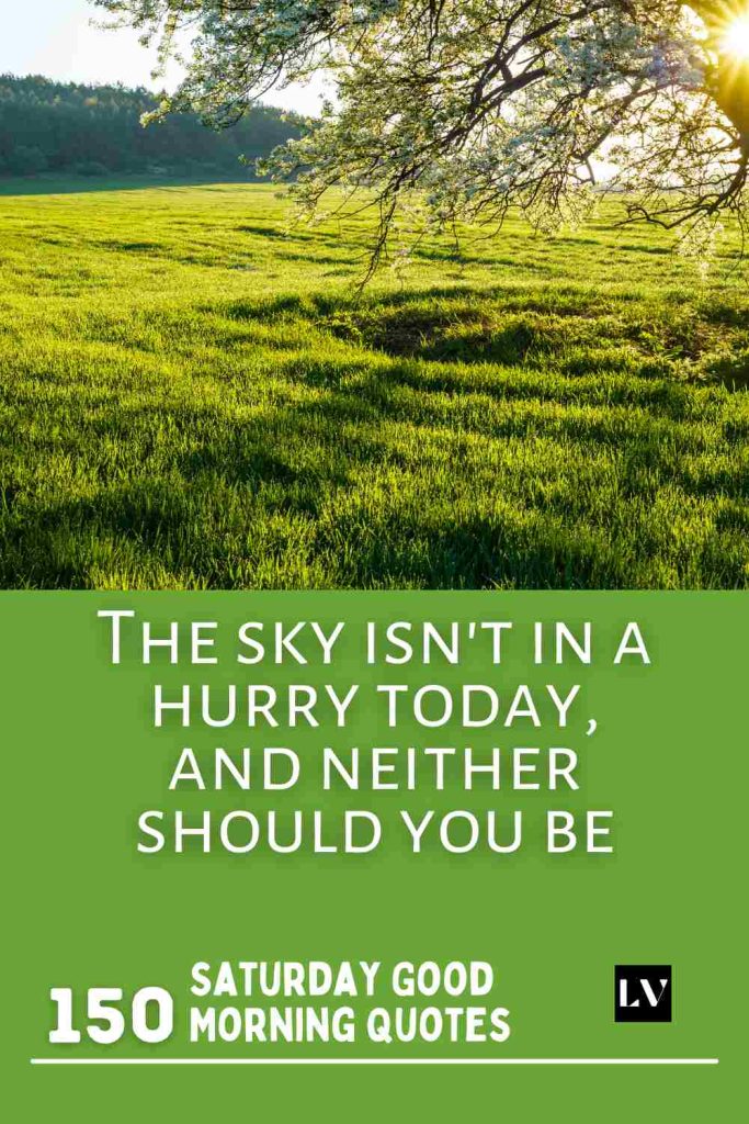 150 Soft and Slow Good Morning Quotes for Saturdays
